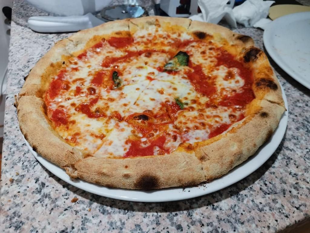 Une pizza napolitaine à la croûte gonflée, sauce tomate et mozzarella, sur un plateau